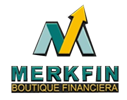 Merkfin